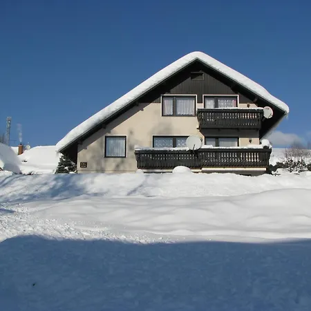 Apartma Gabriela شقة