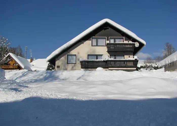 Apartma Gabriela شقة
